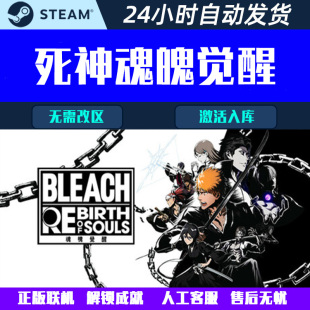 BLEACH 死神魂魄觉醒 Steam电脑单机联机游戏CDK激活码全球区国区