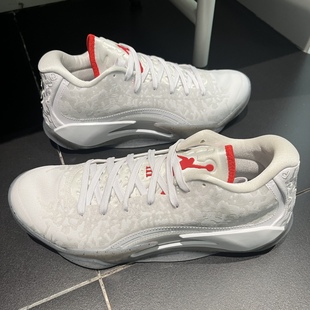 Jordan Zion 3 缓震支撑 抓地防踢 圆头 实战 篮球鞋 DR0676-106