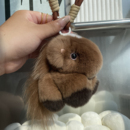 真獭兔毛可爱小马汽车钥匙扣包包挂件毛绒公仔玩偶马年挂饰礼物