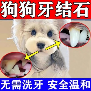 狗狗牙结石去除器溶解牙石速效猫咪牙石软化口臭牙齿牙垢清洁喷剂