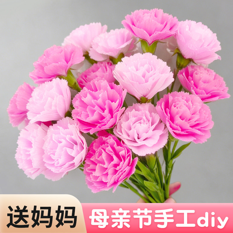 康乃馨diy材料母亲节送妈妈花艺仿真花花束幼儿园高级感花朵粉色图片