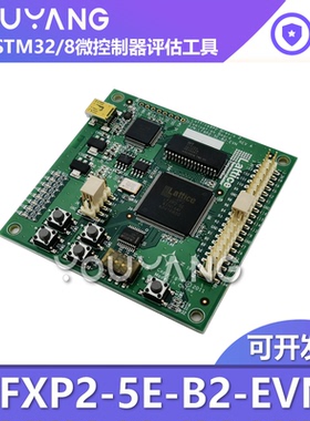 LFXP2-5E-B2-EVN 6TN144C FPGA Lattice XP2 Brevia2 开发套件