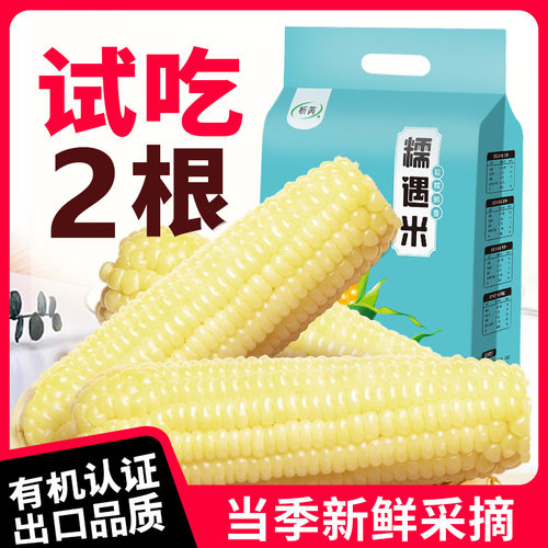 2026年新生产正宗东北有机甜白糯