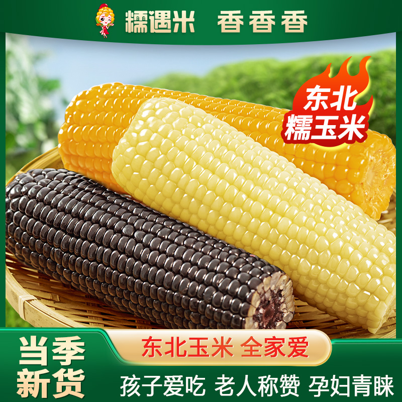 东北原产 真空包装 软糯香甜 新鲜糯玉米棒