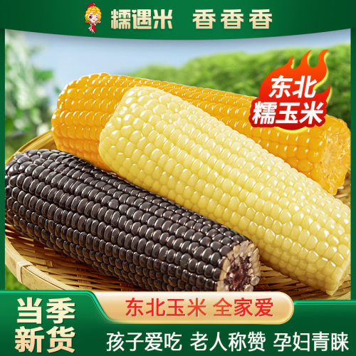 东北原产 真空包装 软糯香甜 新鲜糯玉米棒