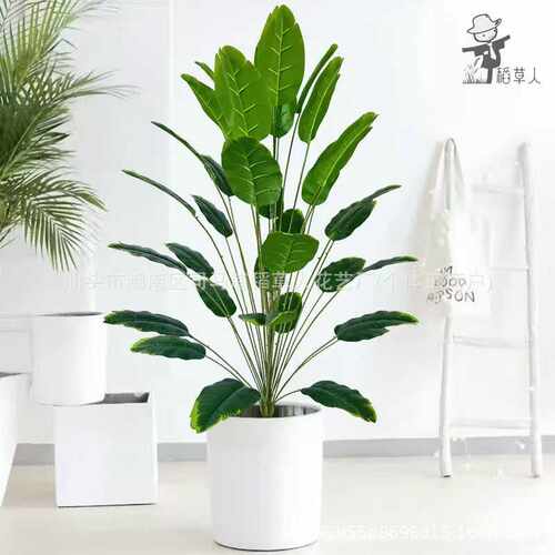 高端仿真植物旅人蕉芭蕉树北欧风大型绿植仿真树客厅假树