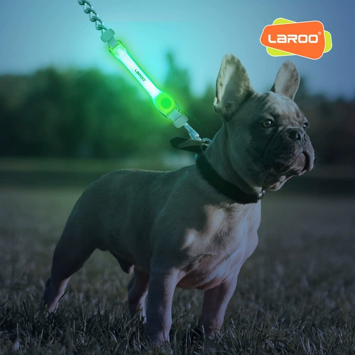 Laroo Laroo Laeno Dog Dog Lamp Lames Light Light Light