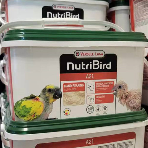 赛尔鹦鹉闭门薄利多消