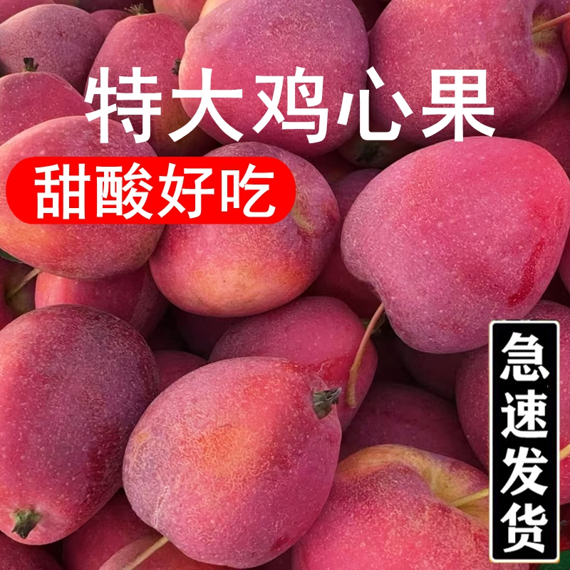 正宗东北鸡心果新鲜沙果特大果海棠果小苹果当季孕妇水果酸甜好吃