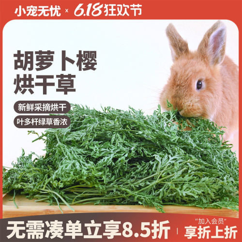 佩安友烘干胡萝卜樱缨叶子兔子