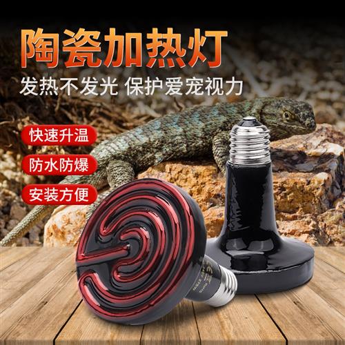 陶瓷加热灯爬宠红外线晒背灯养殖育雏无光夜灯陆龟鹦鹉蜥蜴保温灯