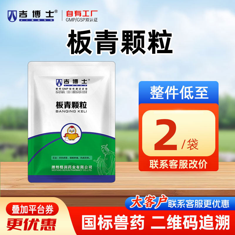 吉博士兽药板青颗粒兽用马牛鸡风热感冒清热解毒喉咙肿痛发热凉血