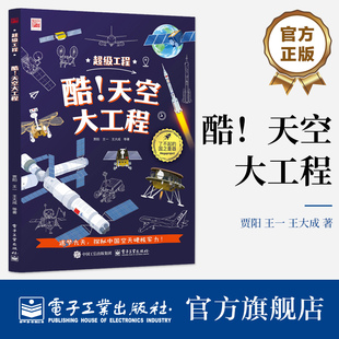 官方正版 酷 天空大工程 贾阳 解读工程背后的科学原理 8-14 岁青少年空天科技书籍 嫦娥探月天问探火悟空号夸父一号科普书籍