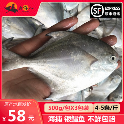 【3斤 4-5条/斤】深海银鲳鱼鲜活海鲜冷冻东海白鲳鱼新鲜水产海鱼