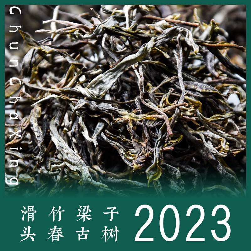 古树春茶2023年滑竹梁子普洱茶生茶散茶明前头春茶叶勐海产区