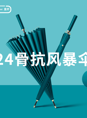 24骨长柄雨伞女士大号自动结实抗风暴雨专用定制直杆双人伞男