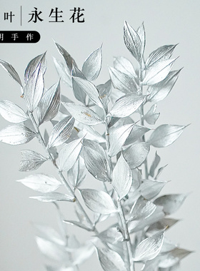 蔓玥 富贵叶永生花diy材料包小尖叶白色配材情人节玻璃罩花材配叶