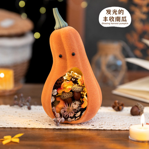 可爱干花南瓜摆件造景氛围装饰灯