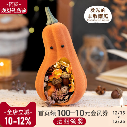 可爱干花南瓜摆件造景氛围装饰灯