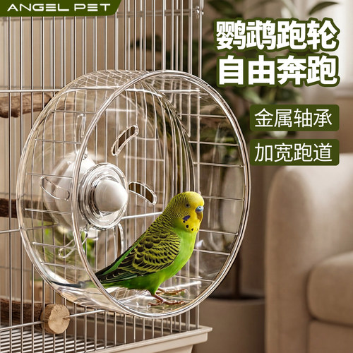 【安吉派特】鹦鹉专用玩具转盘