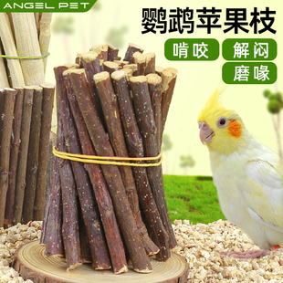苹果枝木磨牙棒鹦鹉苹果枝木磨喙棒啃咬专用玩具鸟类解闷磨喙神器
