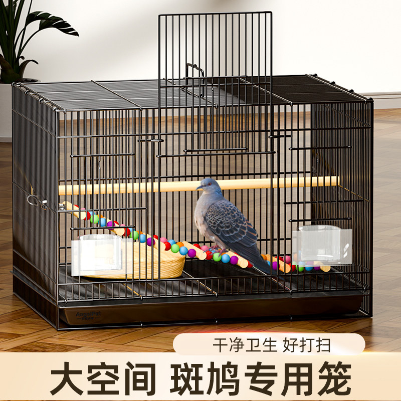 斑鸠笼子斑鸠专用养殖笼子鸟笼养斑鸠活鸟家养的笼子超大号繁殖窝