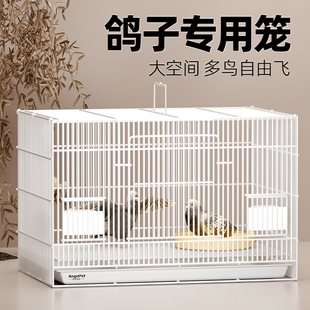 鴿子籠家用養殖籠子新型戶外專用繁殖巢窩用具配對訓放籠用品大全