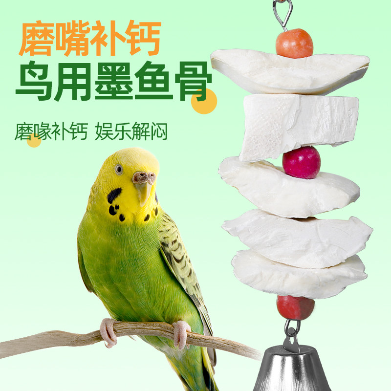 鹦鹉鸟用品鹦鹉鸟墨鱼骨鸟用品松鼠龟鹦鹉磨嘴玩耍啃咬鸟零食用品,宠物/宠物食品及用品,鸟禽其他,淘宝优惠券,粉丝福利购,淘宝优惠卷