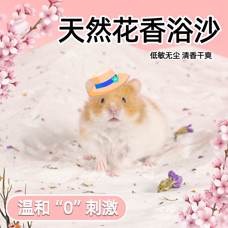 仓鼠浴沙专用金丝熊清洁仓鼠用品大全浴室洗澡的浴沙专用尿砂,宠物/宠物食品及用品,浴沙/尿砂,淘宝优惠券,粉丝福利购,淘宝优惠卷