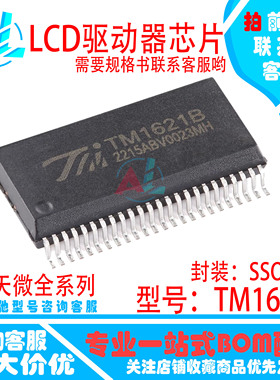 全新原装 TM1621B HT1621B HK1621B 贴片SSOP48 TM/天微原装现货