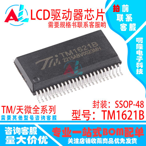 全新原装 TM1621B HT1621B HK1621B 贴片SSOP48 TM/天微原装现货