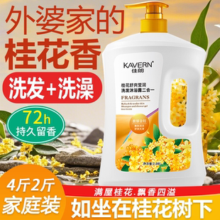 留香男女洗发控油蓬松 沐浴露洗发水二合一桂花香氛沐浴露滋润保湿