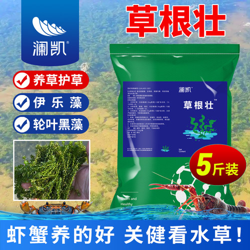 水草壮根长根肥水产养殖