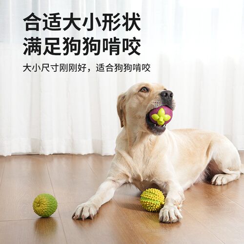 狗狗解压玩具磨牙耐咬陪伴泰迪柯基解闷耐咬自带发声器互动玩具