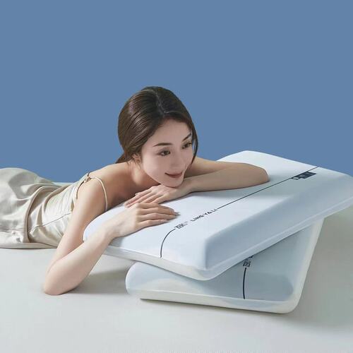 pro深睡记忆枕睡眠枕头侧睡慢回弹记忆棉枕芯护颈椎好眠枕双芯枕