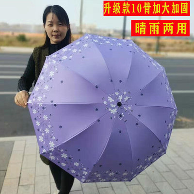 拾喜猫十骨加大双人雨伞晴雨两用黑胶伞三折伞小清新遮阳伞十骨双