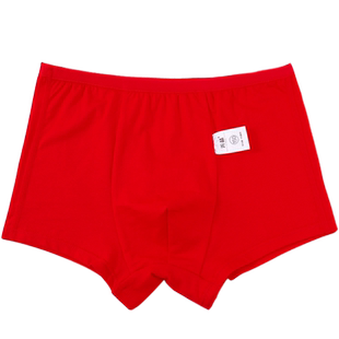 男童纯棉红色内裤小男孩本命年短裤三角裤平角裤无骨中腰裤衩2条