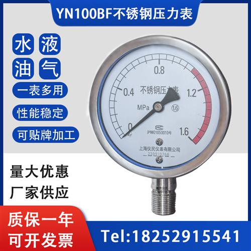 不锈钢压力表Y100BF YTF100H不锈钢耐震压力表 304高温 氨用 仪民