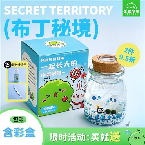 marimo布丁秘境幸福海藻球微景观生态瓶迷你盆栽创意礼物水培植物