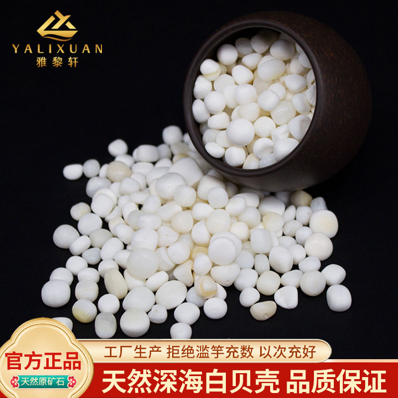 天然深海白贝壳供曼扎装藏七宝石
