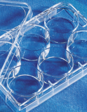 Corning康宁96孔板 V形底未处理表面未灭菌独立包装100个/箱3897