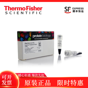 赛默飞 26616/26617 Thermo预染彩虹蛋白marker 26619 26620