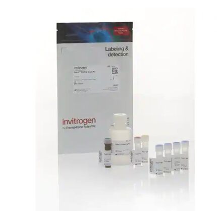 赛默飞 Invitrogen Qubit RNA IQ 检测试剂盒 Q33221