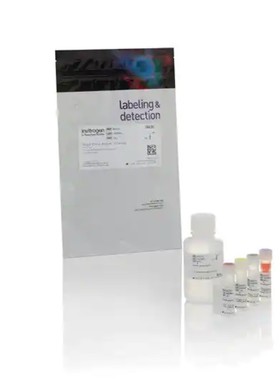 赛默飞 Invitrogen Qubit RNA High检测试剂盒 Q33211