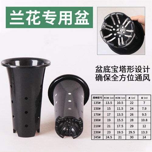 透气塑料君子兰专用盆