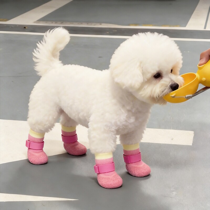 狗狗袜子小狗鞋软底甩不掉夏季透气小型犬比熊宠物鞋遛狗脚套防水