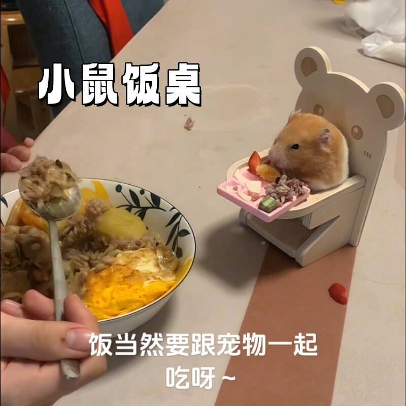 仓鼠椅子仓小宠餐桌金丝熊侏儒金丝熊玩具仓鼠用品大全仓鼠窝布置
