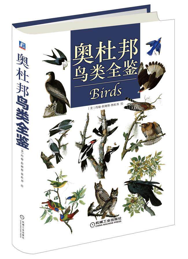 正版 奥杜邦鸟类全鉴约翰·詹姆斯·奥杜邦绘9787111464532   紫珍轩