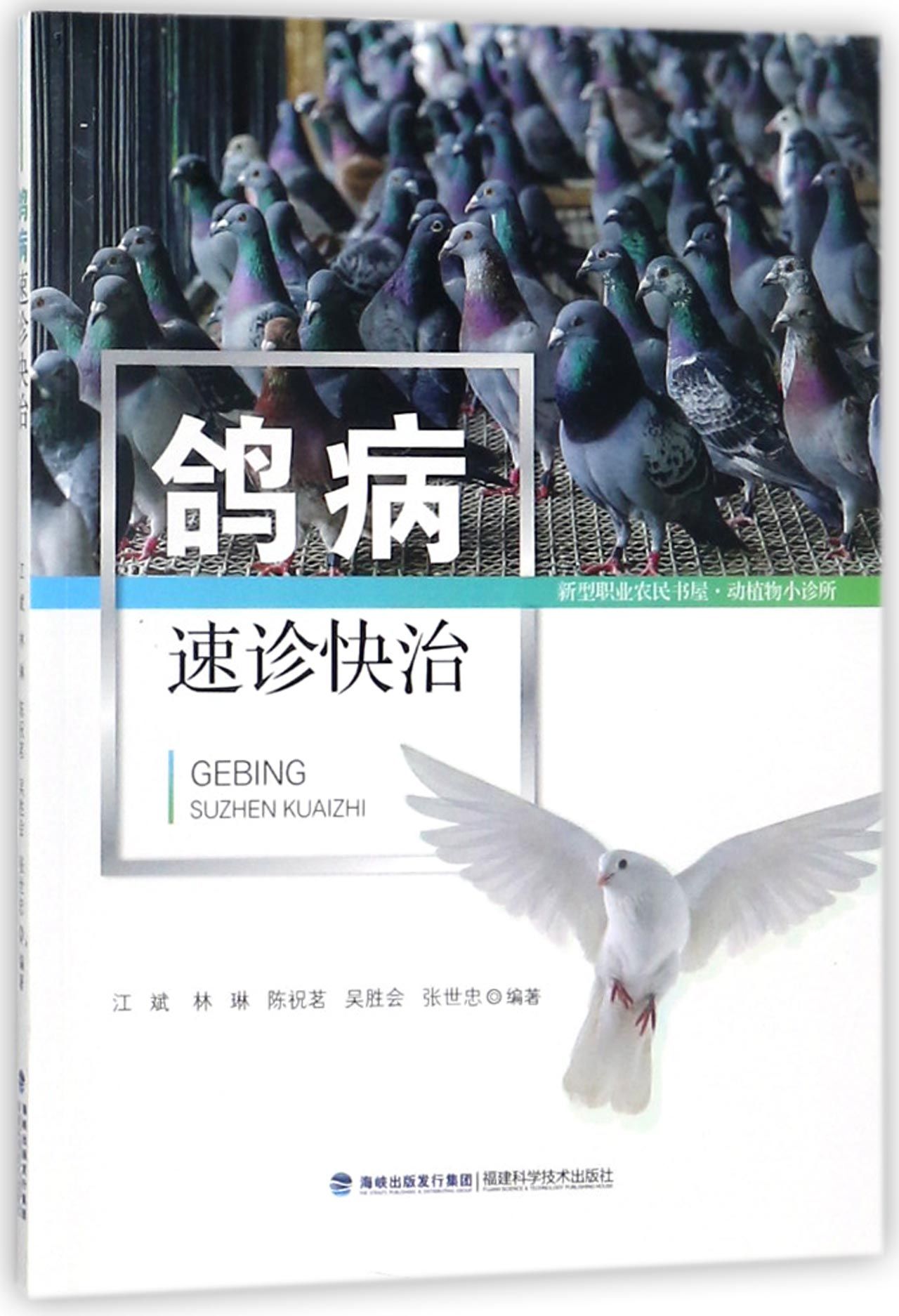 正版鸽病速诊快治/新型职业农民书屋编者:江斌//林琳//陈祝茗//吴胜会//张世忠福建科技 9787533554545可开票