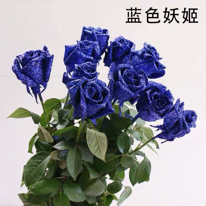 云南昆明蓝色妖姬鲜花真花花束蓝玫瑰干花永生花生日